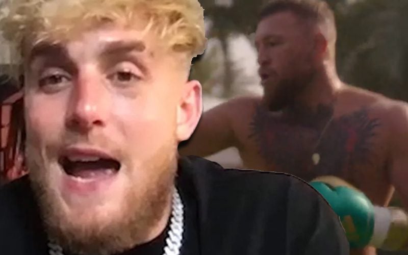 Jake Paul Calls Conor Mcgregors Training Video Embarrassing 5233