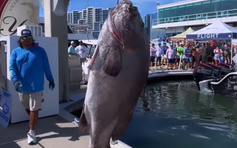 tom cruise son caught fish